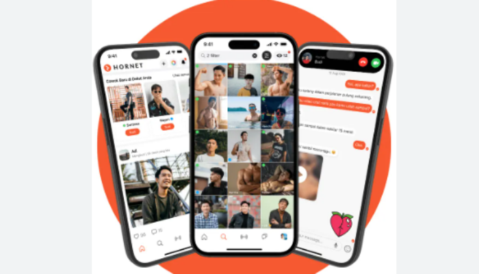 Komdigi Minta Hornet Dihapus dari App Store dan Play Store, Soroti Kepatuhan PSE